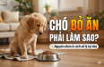 Ngọc Nhân Bifood