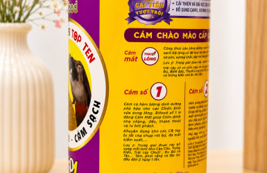 CÁCH CHĂM SÓC CHIM THI