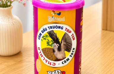 CÁCH ĐỔI CÁM SANG BIFOOD AN TOÀN