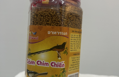 Cách Chăm Than - Lửa Thi