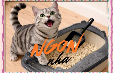 Thức ăn cho mèo Orio: Bí quyết 