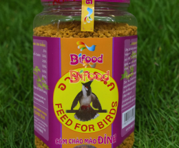 Bifood Đỉnh ( Hủ nhựa 300gr)